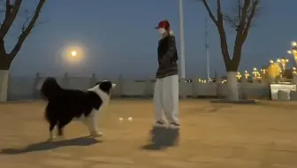 小姨小叔晚上好！