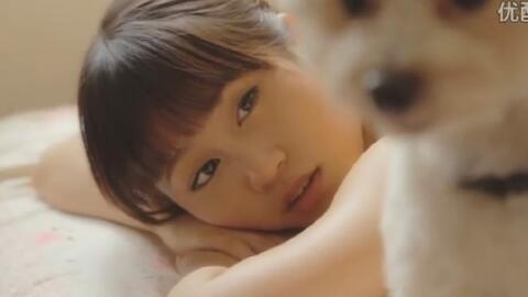 前田敦子 爱犬们与阿酱的日常 二单特典 哔哩哔哩 Bilibili