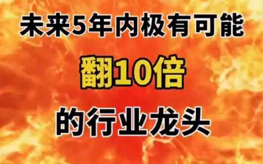 你知道未来5年内极有可能 翻10倍的行业龙头股吗?哔哩哔哩bilibili