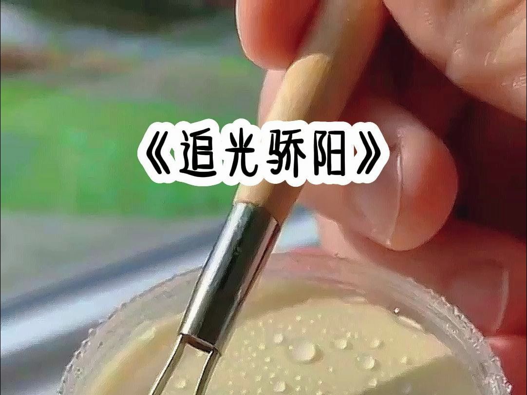 都市生活/职场婚恋/冕废/完结文哔哩哔哩bilibili