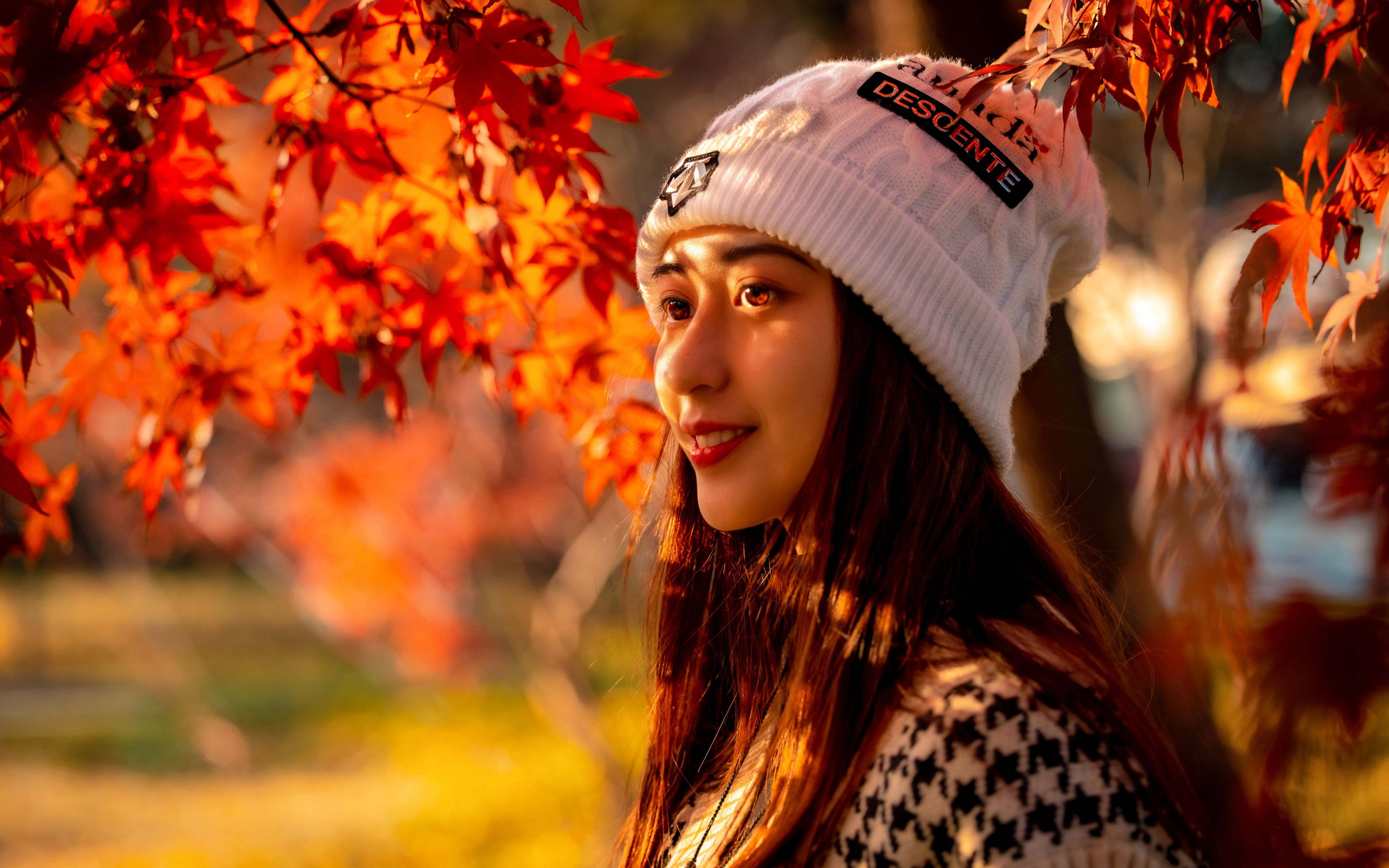 【4k】银杏和枫叶,佳能r5加rf70-200mm,不用稳定器的效果