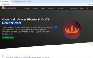 Download Video: Ubuntu24.04正式版安装丝滑，首次进入桌面黑屏，算不算翻车？