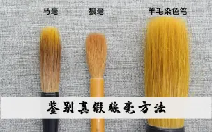 Download Video: 【鉴别真假狼毫毛笔】用了十几年毛笔，你掌握了如何鉴别狼毫毛笔吗？全面分析狼毫毛笔