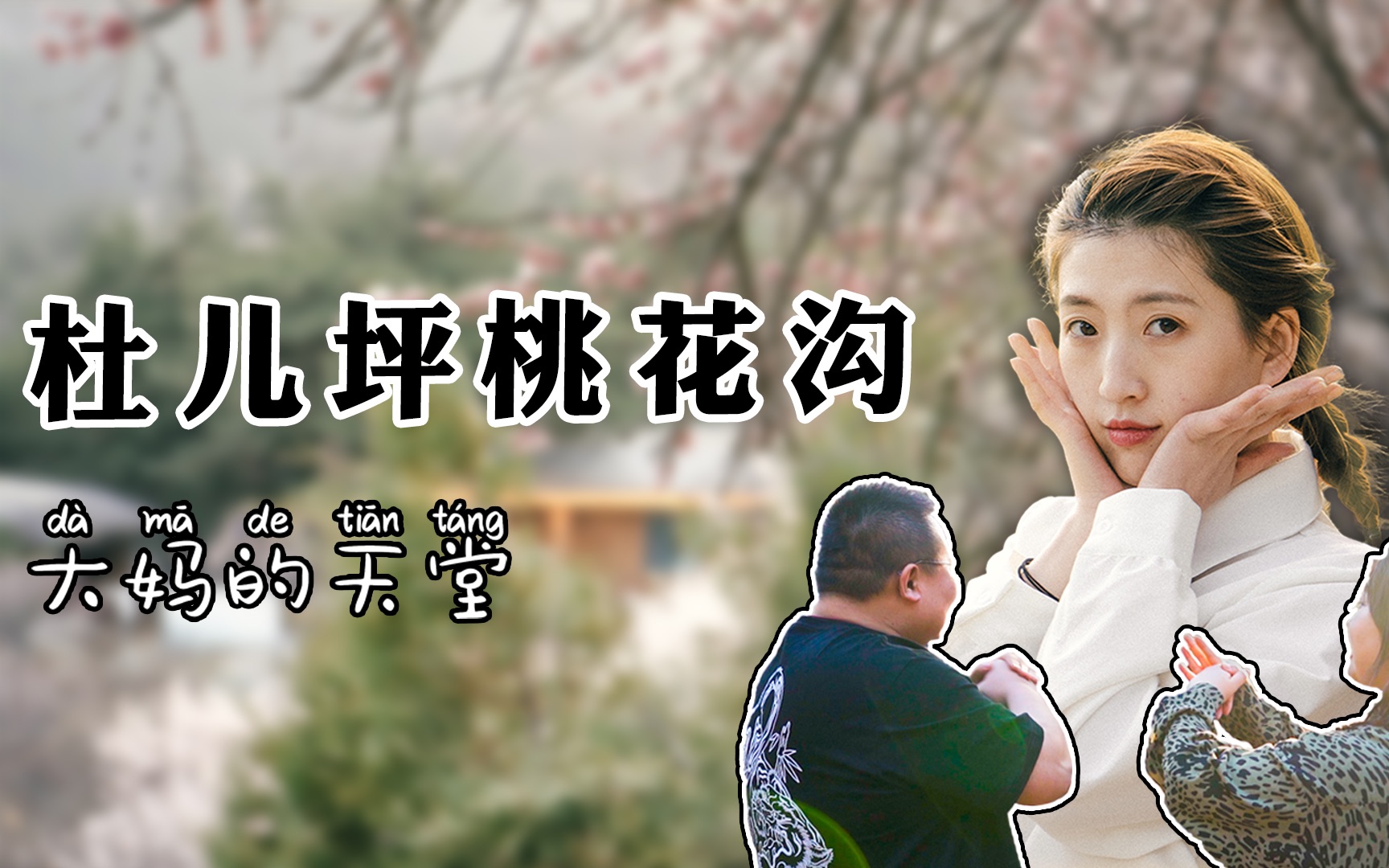 桃花沟成片  HD 1080p哔哩哔哩bilibili