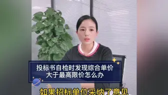 投标书自检时发现综合单价大于最高限价怎么办
