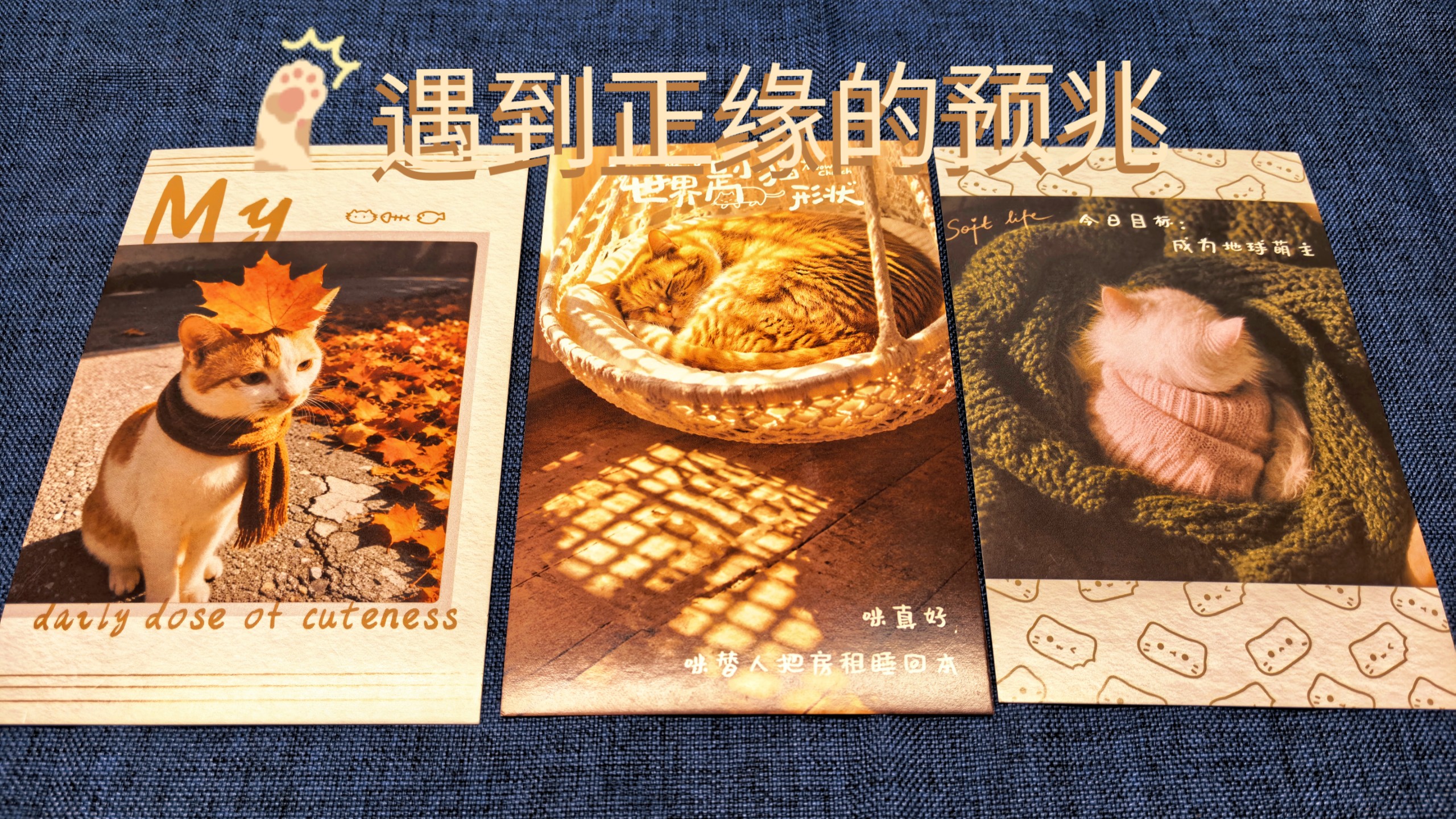 遇到正缘前的预兆