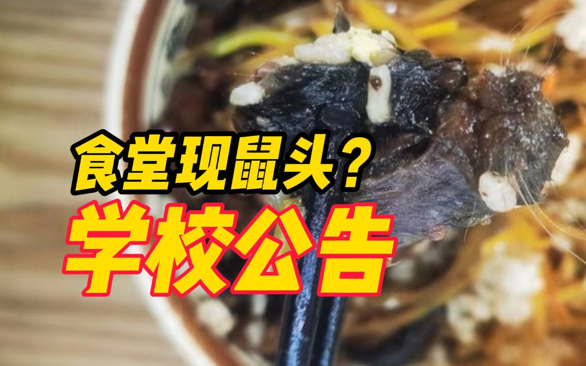 华北理工食堂吃出疑似鼠头异物?学校公告:解除中标餐饮公司合同,并将依法依规追究其相关责任哔哩哔哩bilibili