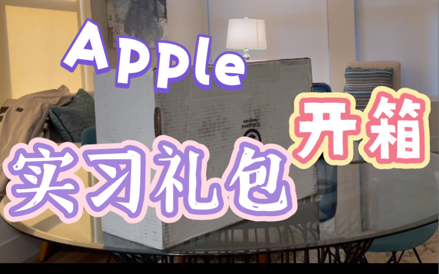 Apple暑期实习礼包有什么哔哩哔哩bilibili