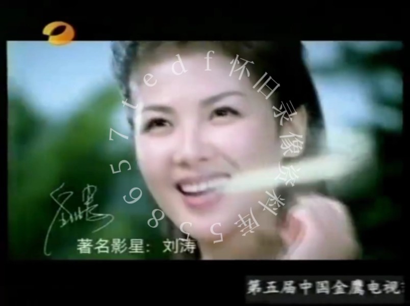 2003年湖南卫视广告图片