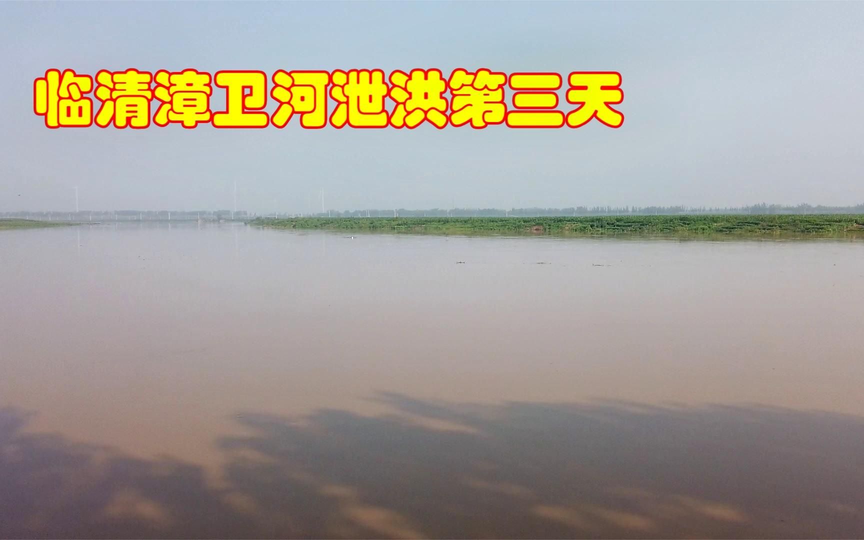 临清漳卫河泄洪第三天,河水比前两天张了好多,这水势好害怕啊