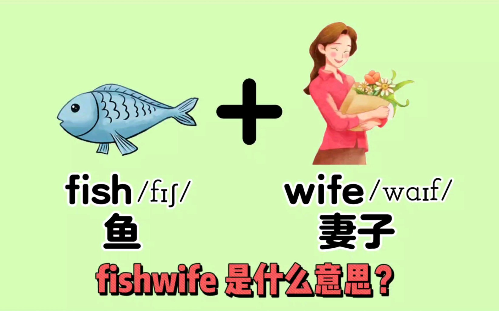 fish是“鱼”,wife是“妻子”,那“fishwife”是啥意思?哔哩哔哩bilibili