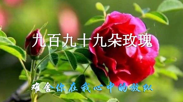 九百九十九朵玫瑰邰正宵哔哩哔哩bilibili