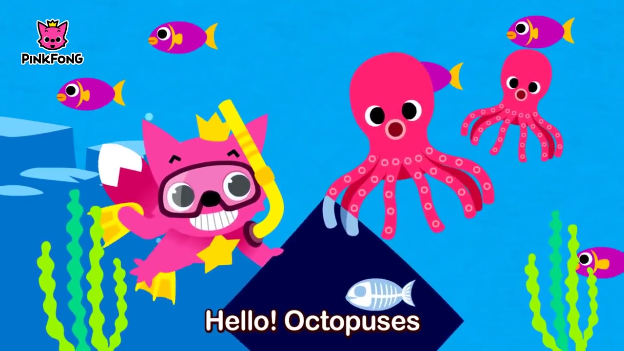 [图]儿歌Under the Sea - Animal Songs - PINKFONG Songs for Children.mp4