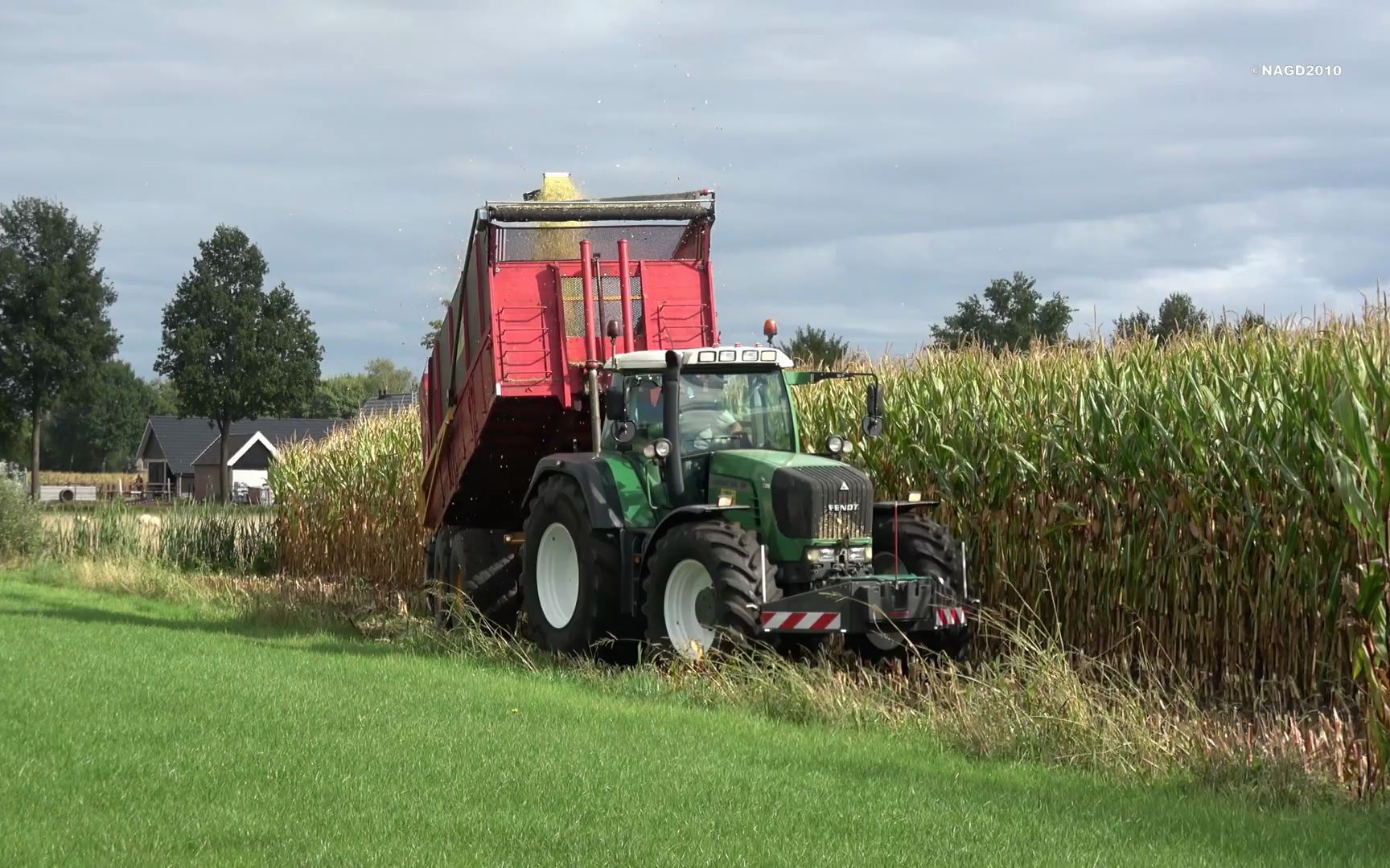 承包商fa fokkert用claas jaguar 940 zfendt拖拉机收割小田玉米(2022