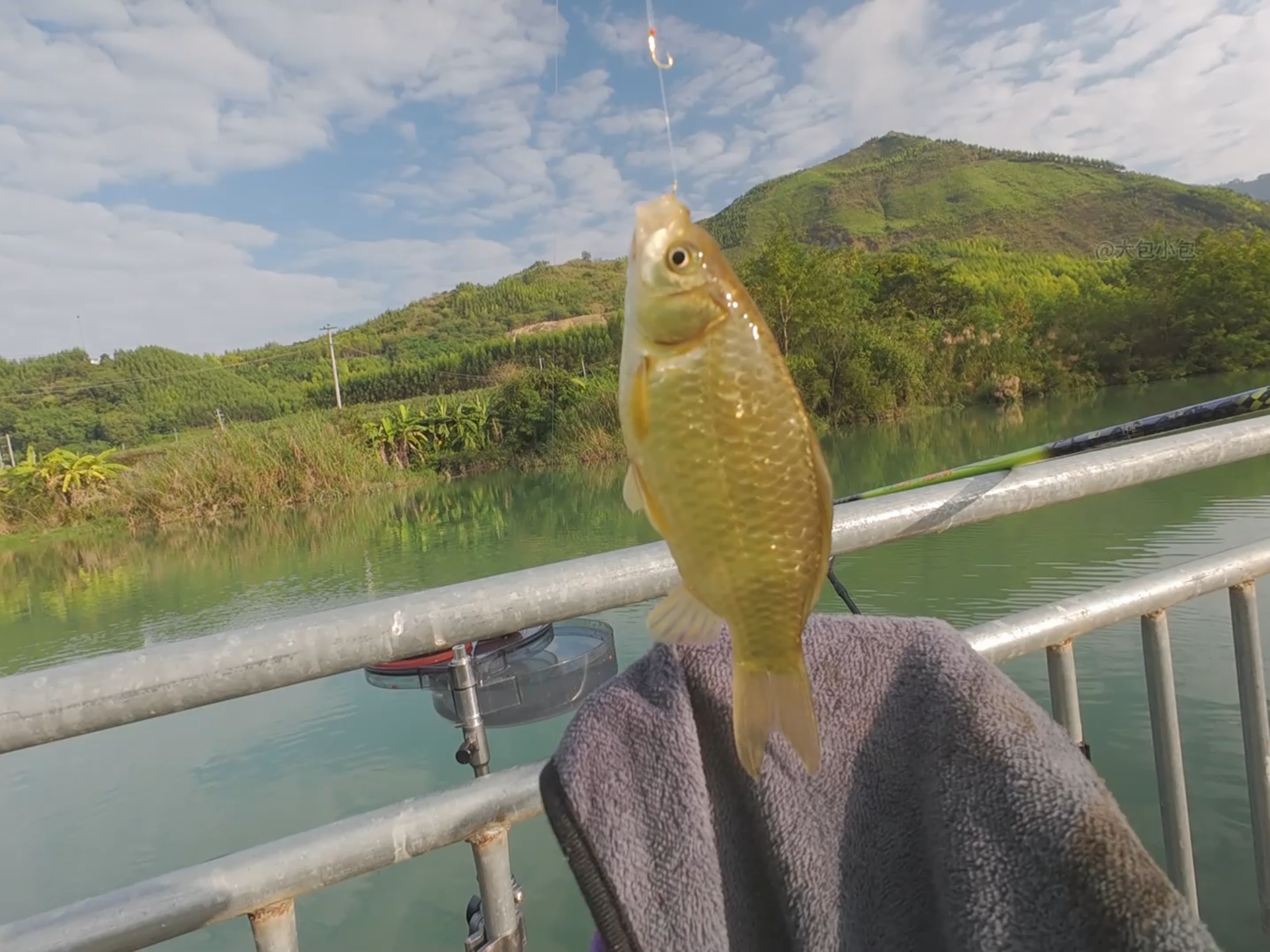 农村钓鱼佬的一天