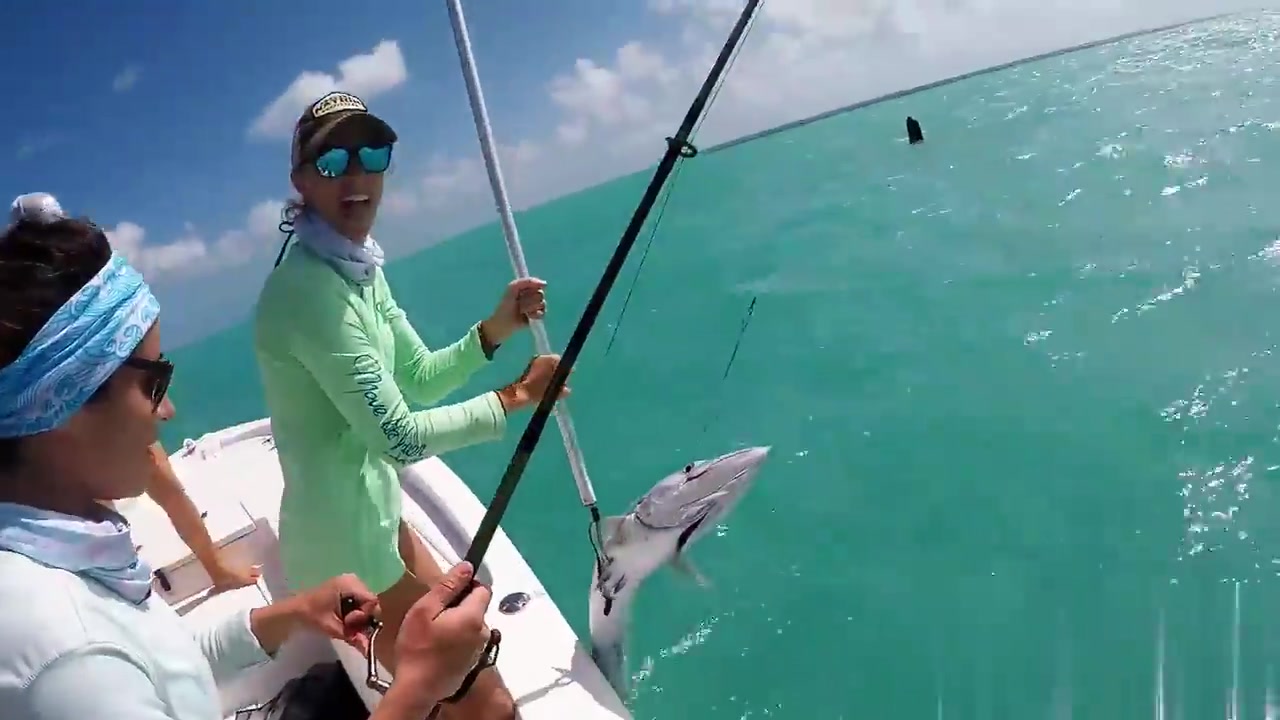 美女坐快艇海钓捕鱼,爽歪歪_哔哩哔哩_bilibili