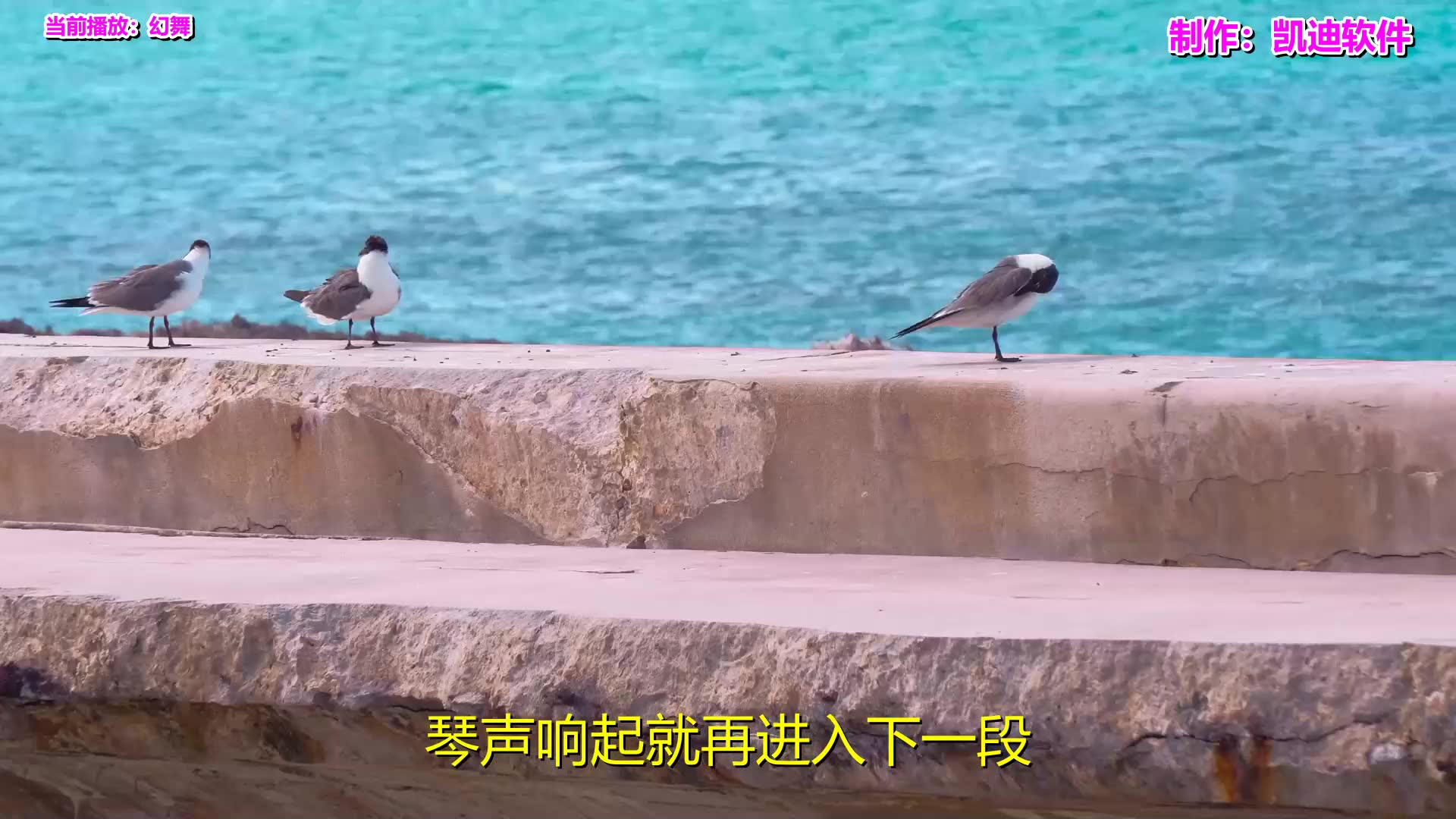 [图]经典老歌自动连续播放《幻舞》