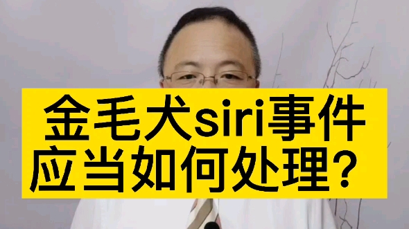 金毛犬siri事件应当如何处理?哔哩哔哩bilibili