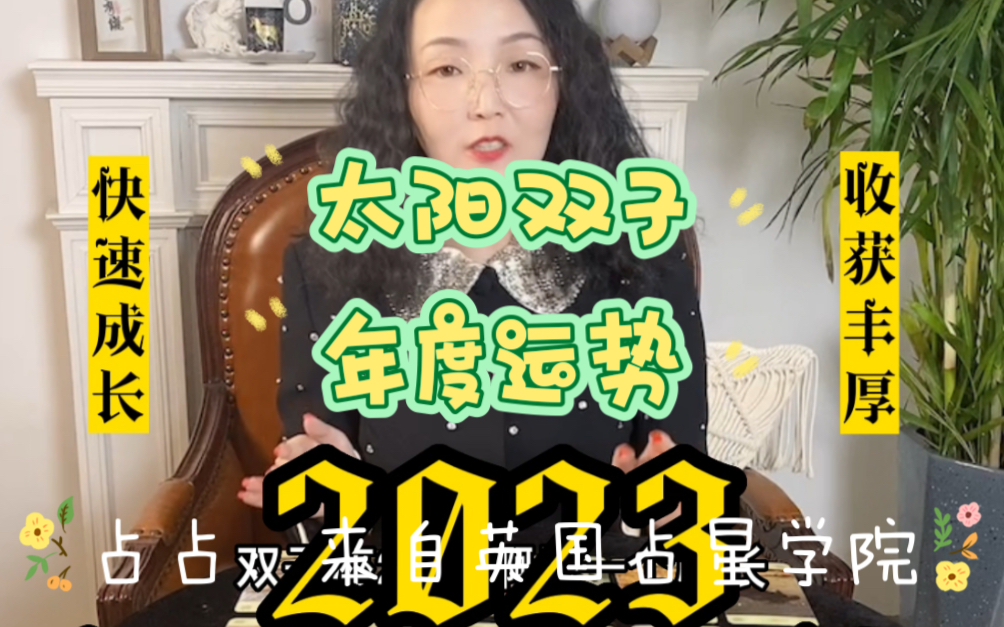 【占占运势】超速成熟𐟑‰双子座2023 年度星座运势哔哩哔哩bilibili