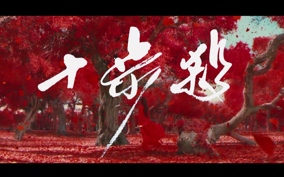 【楚歌xpera小明】超燃超暴躁的古风武侠【十步杀】