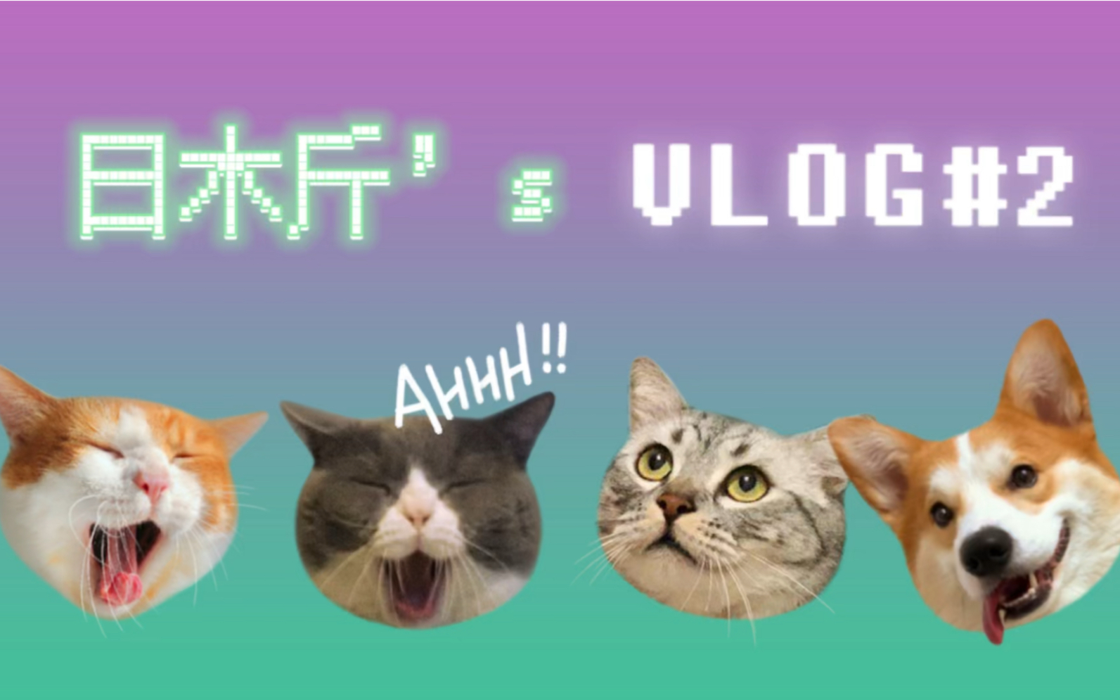 日木斤的第二个vlog哔哩哔哩bilibili