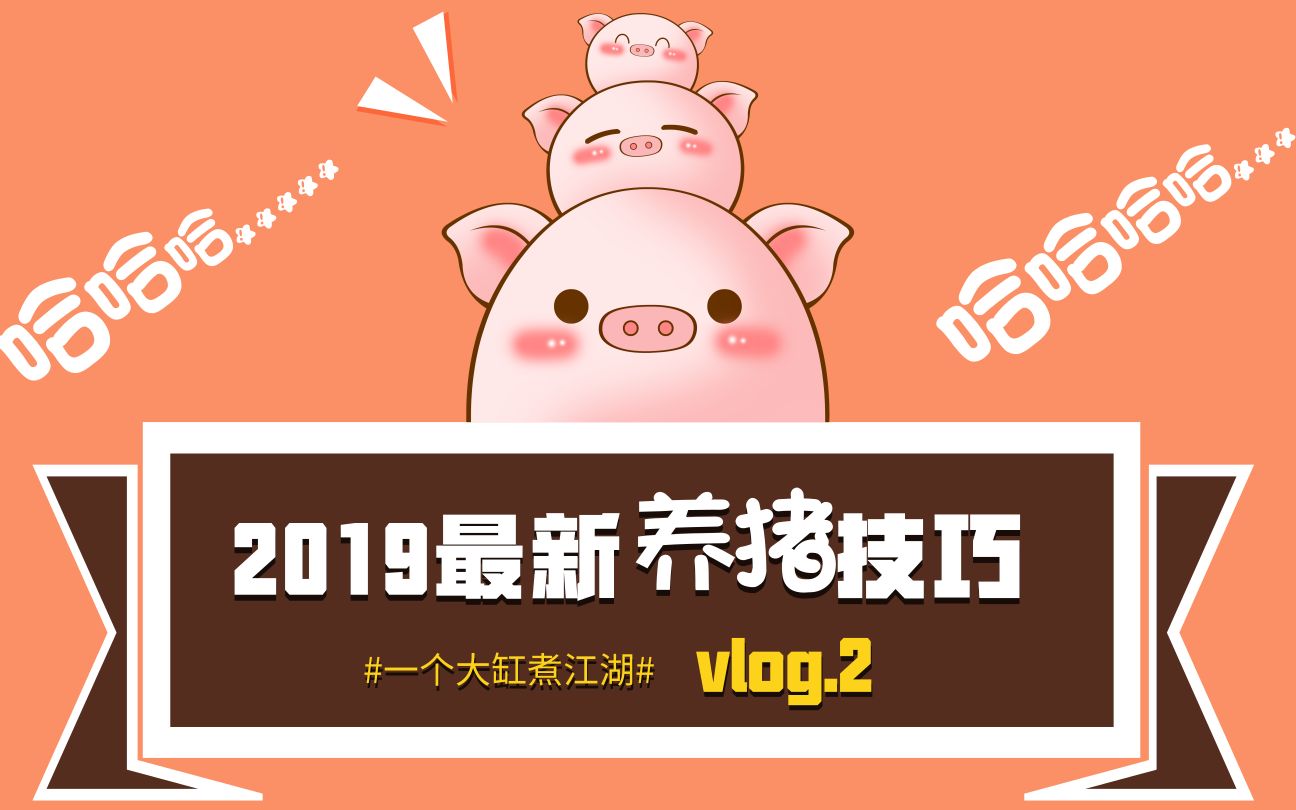 2019最新养猪技巧,教你在猪年科学养猪哔哩哔哩bilibili