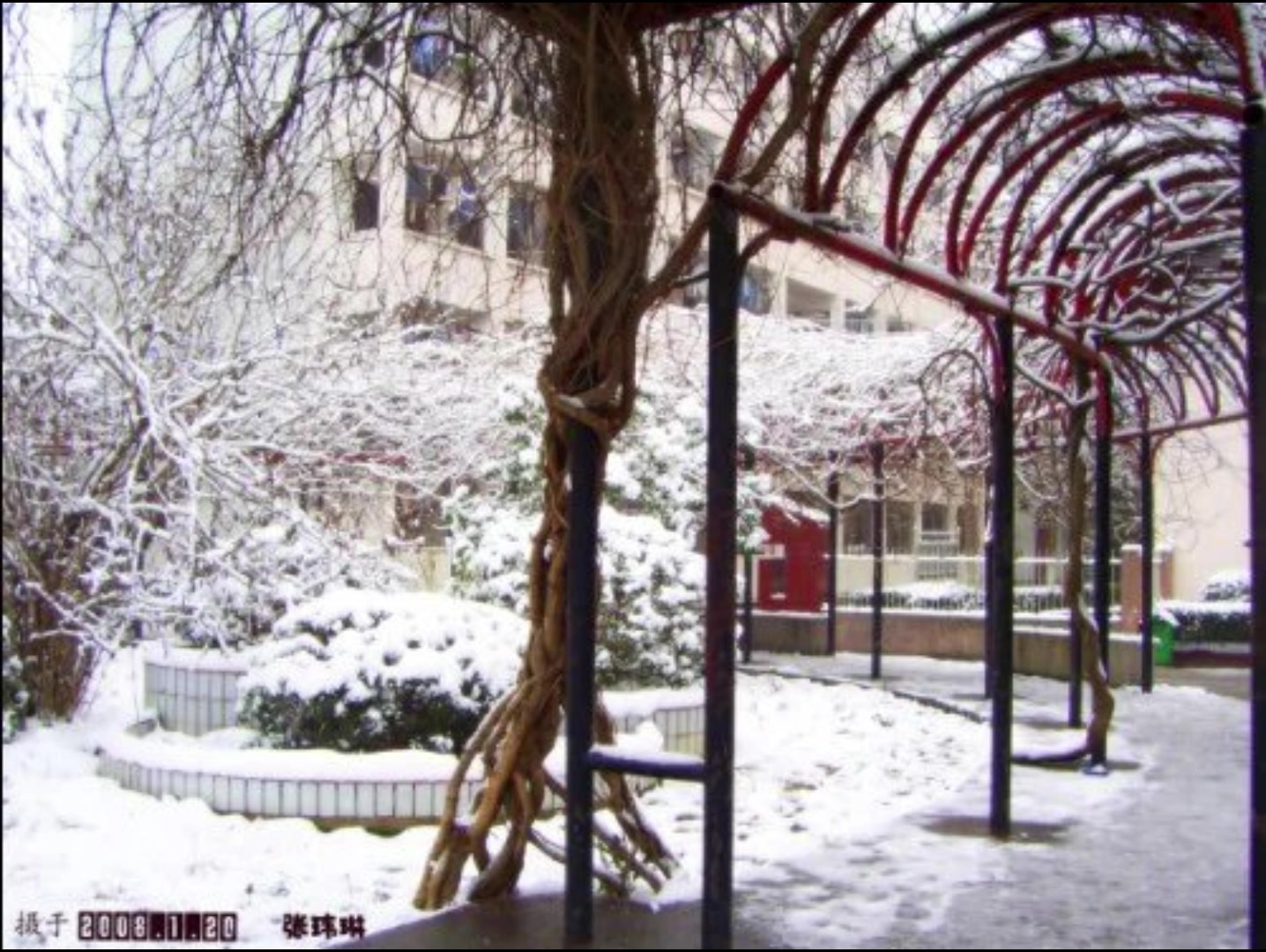 2008年天门实验高级中学雪景哔哩哔哩bilibili