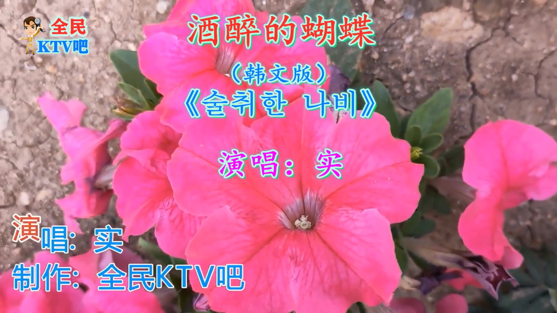 中文歌曲韩文版酒醉的蝴蝶实朝鲜族小妹演唱