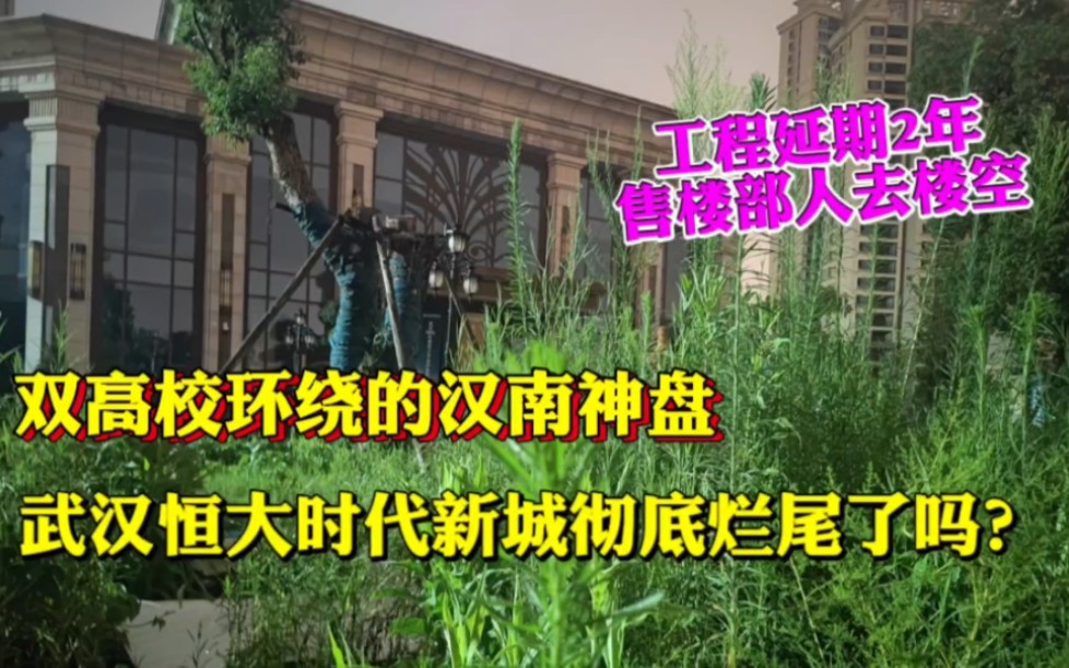 工程延期2年售楼部荒草丛生,武汉汉南恒大时代新城彻底烂尾了吗?#武汉生活# #武汉身边事# #武汉买房# #日常vlog#哔哩哔哩bilibili