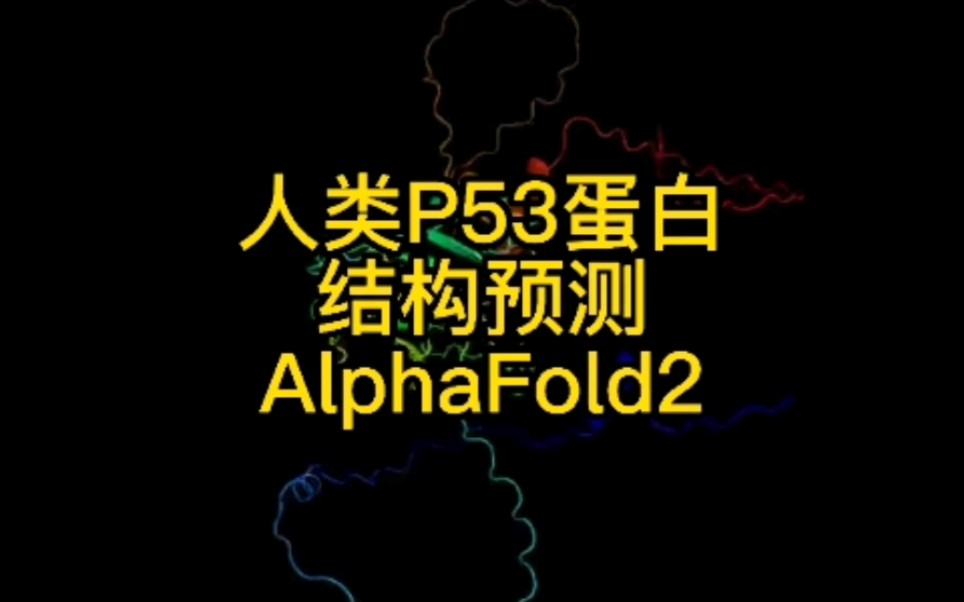 活动作品生物信息分析用alphafold2对人类p53蛋白结构进行预测
