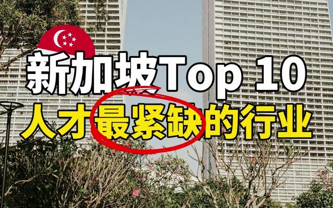 2023新加坡Top 10紧缺人才的行业盘点!哔哩哔哩bilibili