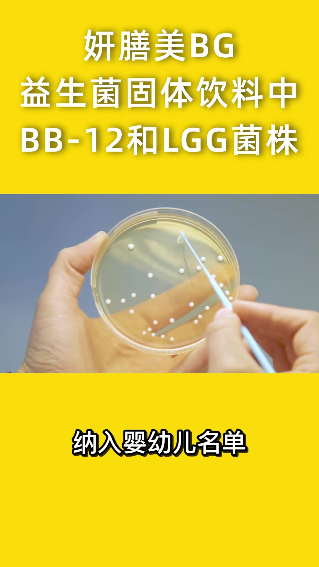 益生菌固体饮料BB12和LGG菌株作用#王承黎哔哩哔哩bilibili