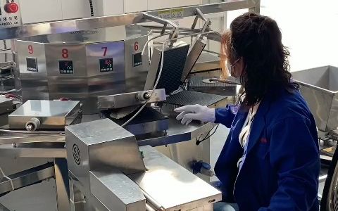 全自动蛋卷机价格 鸡蛋卷生产设备