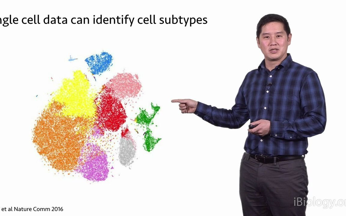 单细胞测序概述(overview of sigle cell sequencing)哔哩哔哩bilibili