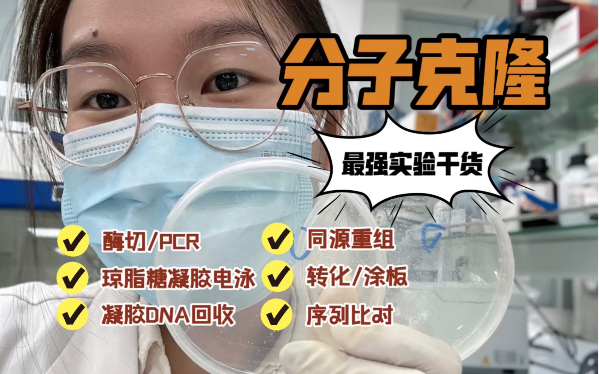 [图]沉浸式做实验｜手把手教你学会构建质粒·分子克隆入门