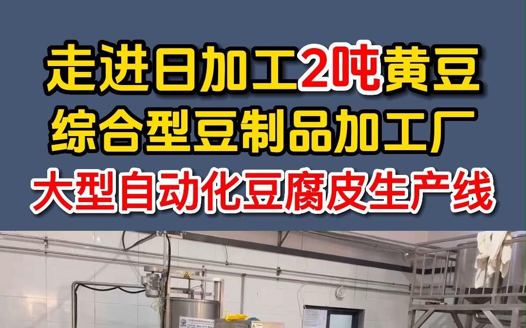 走進日加工2噸黃豆豆製品廠,大型豆腐皮機生產全過程,自動化生產,輕鬆