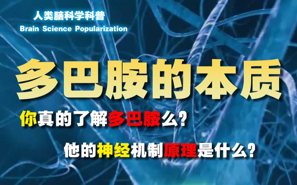 这才是真正的多巴胺!如何运用正确的神经机制_哔哩哔哩_bilibili