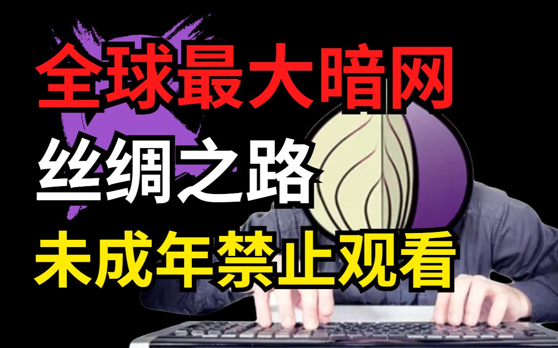 内容敏感,随时被下,全球最大暗网丝绸之路,崛起到衰败,按教程涉及暗网黑客技术(网络安全/网站渗透/信息安全)哔哩哔哩bilibili