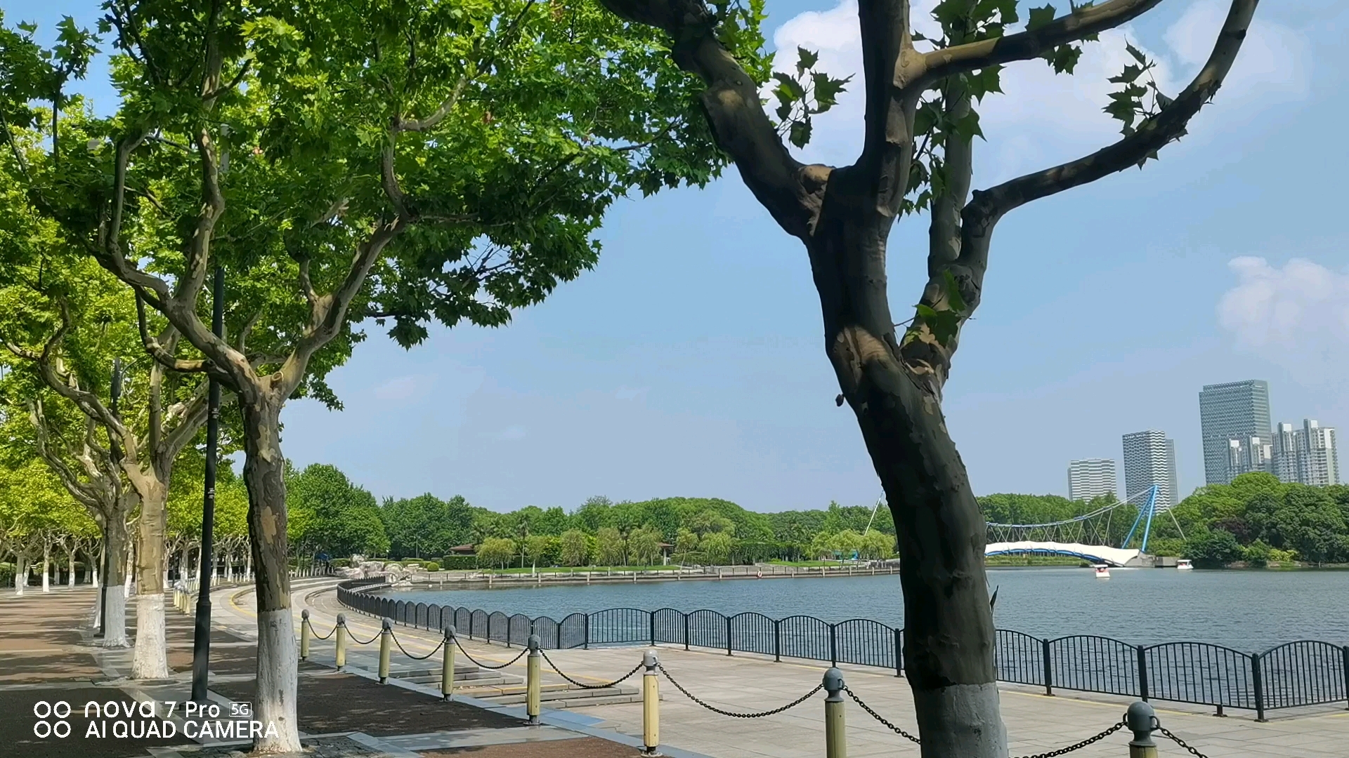 上海篇,世纪公园,1