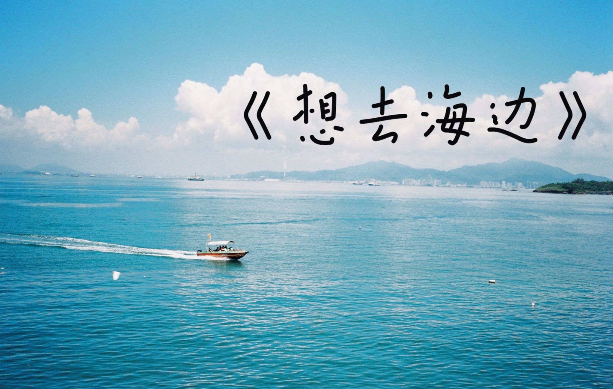 【胶片日记】25 || 想去海边!! contax t2 & proimage100哔哩哔哩bilibili