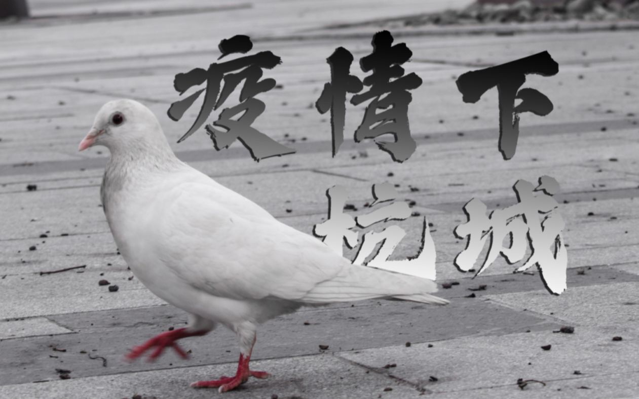  杭州疫情近况(杭州最近流行的病毒)