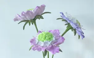 Скачать видео: 新手作花花～蓝盆花