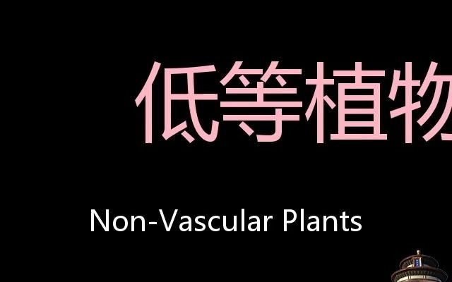 低等植物 Chinese Pronunciation nonvascular plants哔哩哔哩bilibili