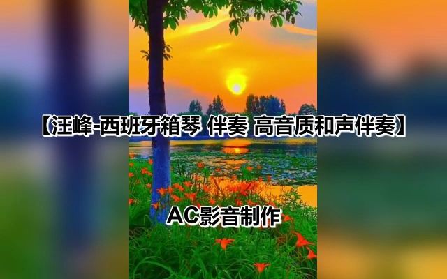 [图]汪峰-西班牙箱琴 伴奏 高音质和声伴奏