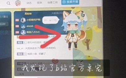 b站官方桌宠哔哩哔哩bilibili