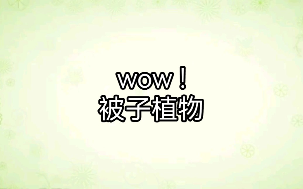 植物科普——被子植物哔哩哔哩bilibili