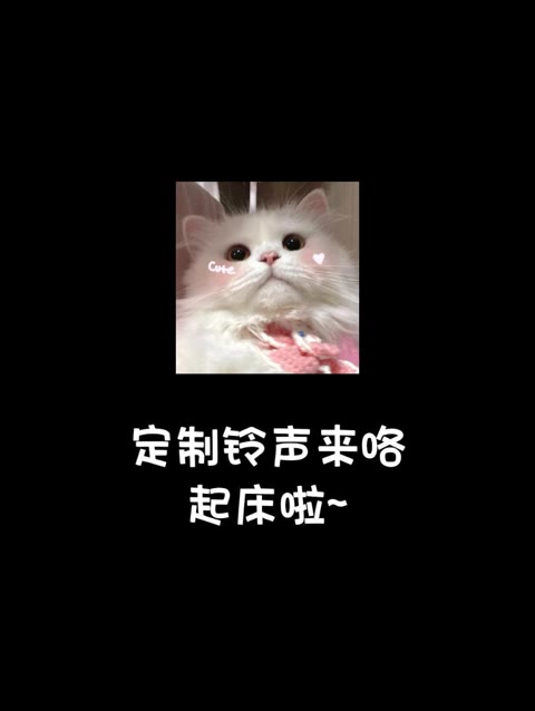 小懒猪,快起床啦