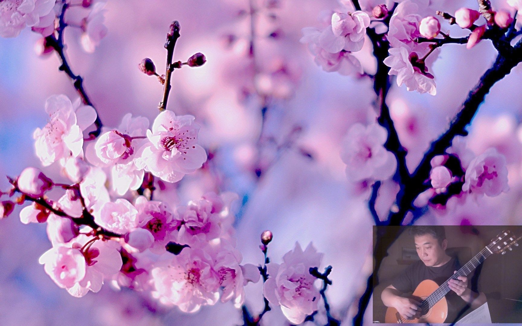 [图]花正在开 (花は咲)