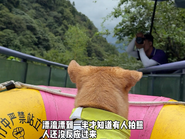 土豆：人，把我拍美一点哦