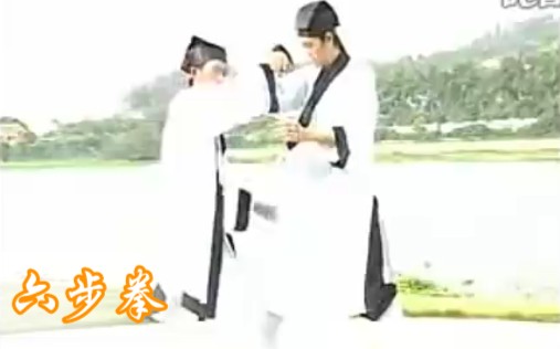 武当松溪短打一路〖六步拳〗哔哩哔哩bilibili